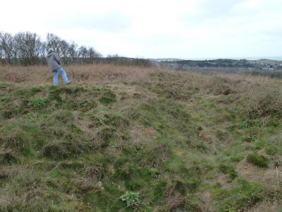 Humps and hollows on Beeston heath